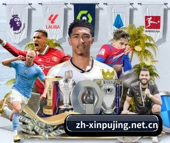 澳门新葡京 APP